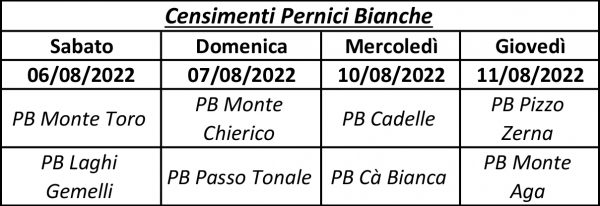 Cens Pernici bianche